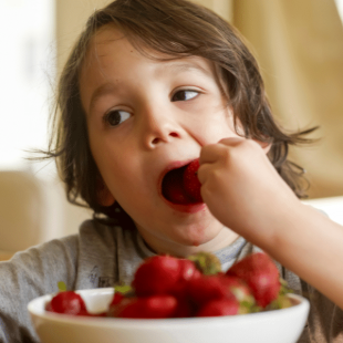 Calming mealtime battlegrounds blog feature image